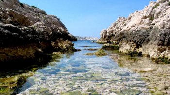 Dépaysement et chaleur assurés ! Vous avez envie de soleil ? Nous vous invitons à la visite des calanques de Cassis : des plages et de magnifiques criques, quelques ports de plaisance et de beaux points de vues vous attendent.