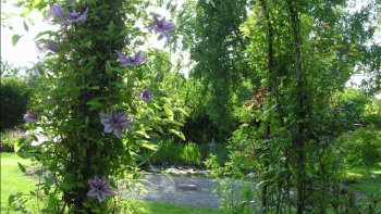 A la découverte d'un jardin enchanteur...  Des fleurs, de la verdure, des arbustes, une petite mare... un lieu plaisant et accueillant !  