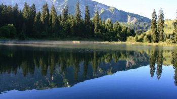 Admirez de jolis paysages de montagne !  Vous apercevrez à travers ce diaporama différentes vues de monts et à différentes saisons.  Retrouvez les forêts de sapins et différentes espèces de fleurs sauvages... 