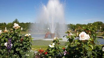 chateau versailles