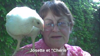 Ce diaporama très amusant d'images détournées nous est présenté par notre amie Josette. De quoi passer un agréable moment de détente sans prise de tête.