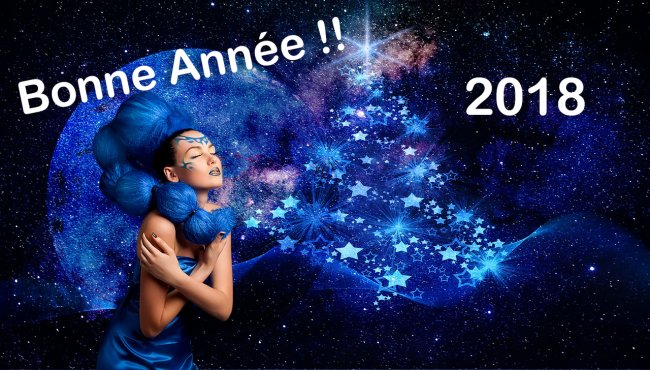 carte de voeux bonne année 2018