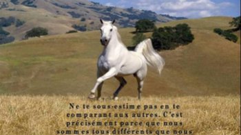 Ce petit diaporama de trois minutes met en scène de somptueuses images de chevaux. Le texte qui s’en dégage est une poésie philosophique sur la thématique de la morale. 