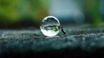 Doris nous propose de découvrir de somptueuses photos d'un photographe talentueux malheureusement disparu. Moments de vie, de mouvements, bouilles attendrissantes sont au programme de ce diaporama saisissant, sur le vif.