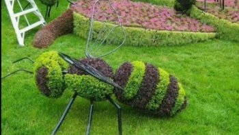 Quelques photos  de sites  sculptés par nature  
 et de jardins magnifiés par des artistes