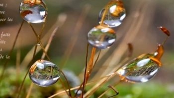 Par ces temps caniculaires.....qui n'aimerait le chant de l'eau  ?.....en compagnie du poète belge d'expression française: Emile Verhaeren.....
De Nanou et Stan