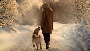 Il n'est pas d'hiver sans neige de printemps sans soleil et de joie sans être partagée.....