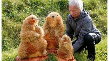 Avec de simples copeaux de bois, Sergei Bobkov réalise d'incroyables sculptures. Cet artiste russe assemble en effet des centaines de petits morceaux de bois pour donner vie à des animaux presque plus vrais que nature.

J'avais déjà proposé  un diapo sur lui  en...2017

je partage  cette publication  avec d'autres images en plus
avec notre amie LOUISETTE

