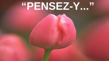 Faire de chaque jour,une occasion spéciale,....n'attendons pas........le jour que nous ne verrons peut-être pas...pour utiliser ce que nous réservions à une incertitude......seul l'aujourd'hui nous appartient pour le célébrer......au présent.