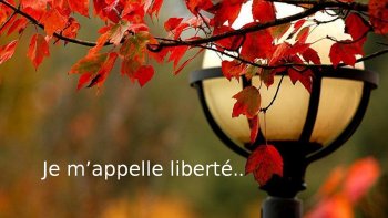 Une ode à la liberté