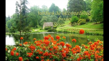 Jardin aux roses