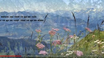 Nos yeux habitués, ne voient plus les merveilles que nous offre la nature tout au long des chemins de randonnées..Avec la poésie de Georges  Sand, promenons-nous......