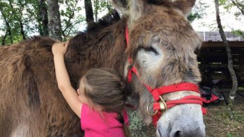 Après que sa fille s'approche de l'Âne et lui fait un câlin, quelque chose d'incroyable se produit ! - L'Âne dans la culture des populations humaines, de par son partage de la vie quotidienne des hommes, en particulier des petites gens, a depuis longtemps occupé une place importante. Ses singuliers attributs physiques et ses traits de caractère interviennent de multiples façons dans les mythes, les légendes, la religion, ainsi que dans l'imaginaire et ses expressions orales, littéraires, picturales, cinématographiques et musicales. !