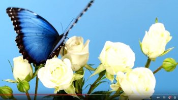 Bonnes fêtes de Pâques à vous tous,chers ordissinautes.......en cette période  assombrie hélas ! par tant d'évènements  douloureux!  que  l'espoir  de jours  meilleurs, renaissent avec le ciel plus  bleu...Oderay