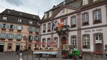 Tomber sous le charme du patrimoine médiéval. Tous les ans, à la mi-décembre, se tient le très original marché de Noêl médiéval de Ribeauvillé sur la route des vins d'Alsace. Rendez-vous incontournable du Noêl alsacien. Le marché saura vous séduire par son originalité et son authenticité. Les décor scintillent, les maisons à colombages servent d'écrin à la fête et les rue pittoresque invitent aux plus belles déambulations. Faite la rencontre des marchands, parés de costumes d'époques, et dénichez des trésors d'artisanat sur leurs stands et étals sublimement décorés. Gourmets, délectez-vous de spécialités médiévales ! Le fumet du sanglier à la broche et des soupes mitonnées vous plongent encore un peu plus dans l'ambiance médiévale. On les déguste volontiers accompagnés d'une cervoise, d'un vin chaud ou d'un jus de pomme fraîchement pressé pour les plus petits. !