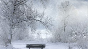 Comme une symphonie en blanc......la musique silencieuse des flocons .....Tout est silence, et beauté virginale